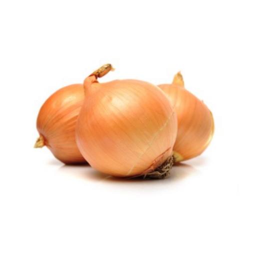 Picture of ONIONS 1Kg